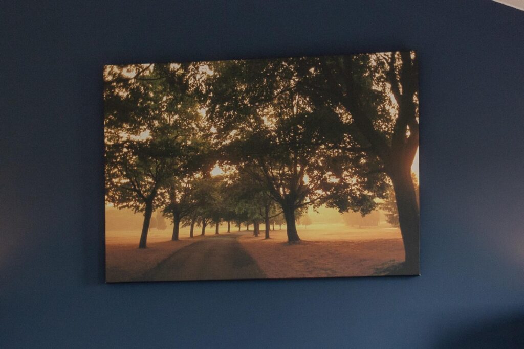 12 ov035-vakantiehuis-overijssel-scheerwolde-schilderij